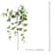 Green Heartleaf Philodendron Stem by Ashland&#xAE;